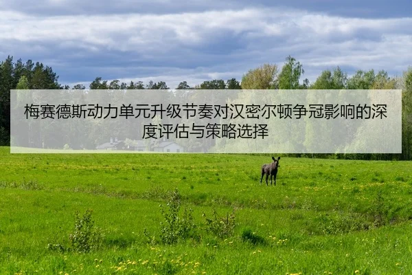 mei-sai-de-si-dong-li-dan-yuan-sheng-ji-jie-zou-dui-han-mi-er-dun-zheng-guan-ying-xiang-de-shen-du-ping-gu-yu-ce-lve-2-574.jpg