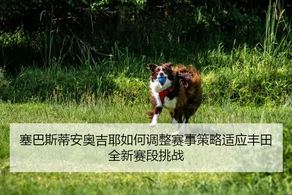 塞巴斯蒂安奥吉耶如何调整赛事策略适应丰田全新赛段挑战 | PG